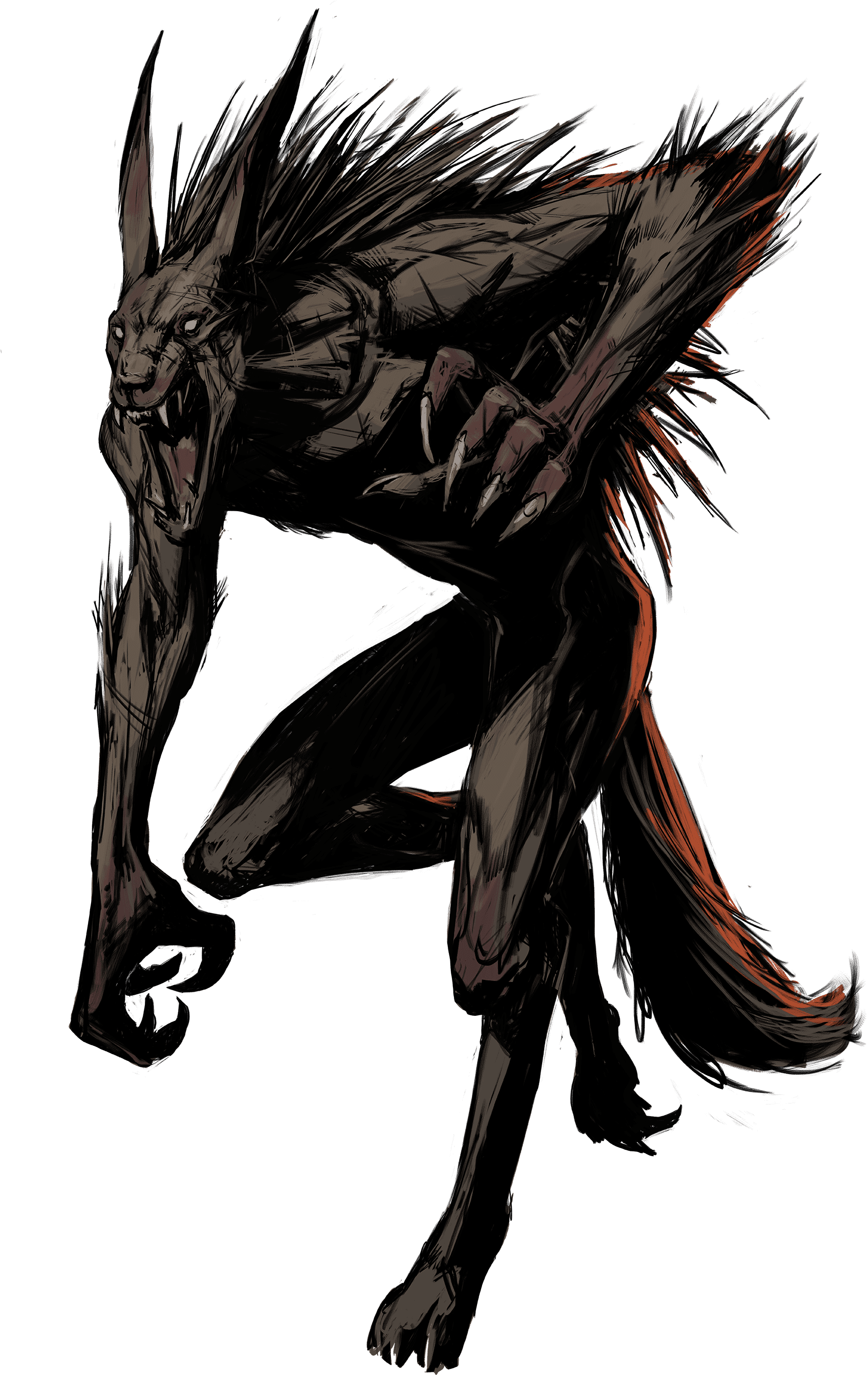 Werewolf character illustration